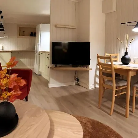 Sentralt Pa Med Egen Inngang Appartement *